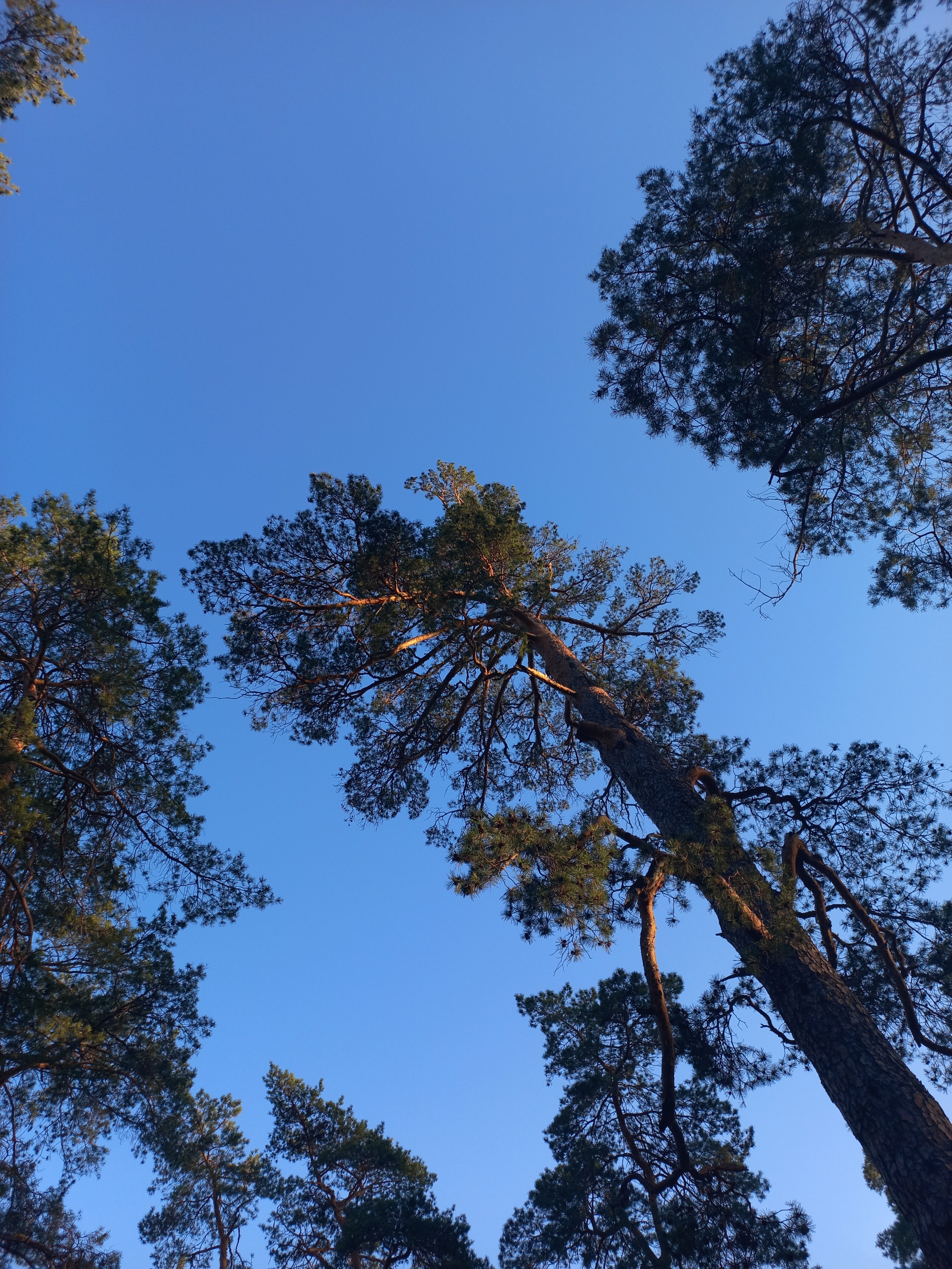 Фото Новая волна