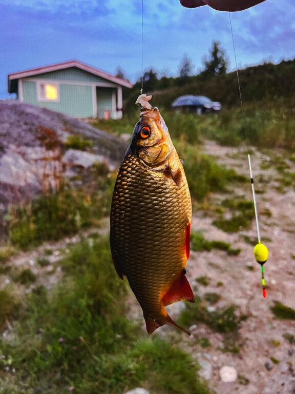 Фото Варёновка