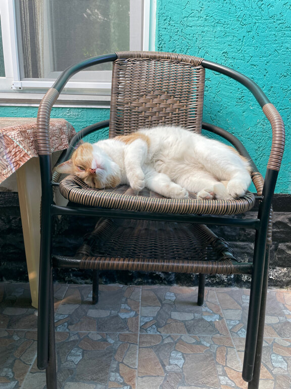 Фото Уютный Дворик