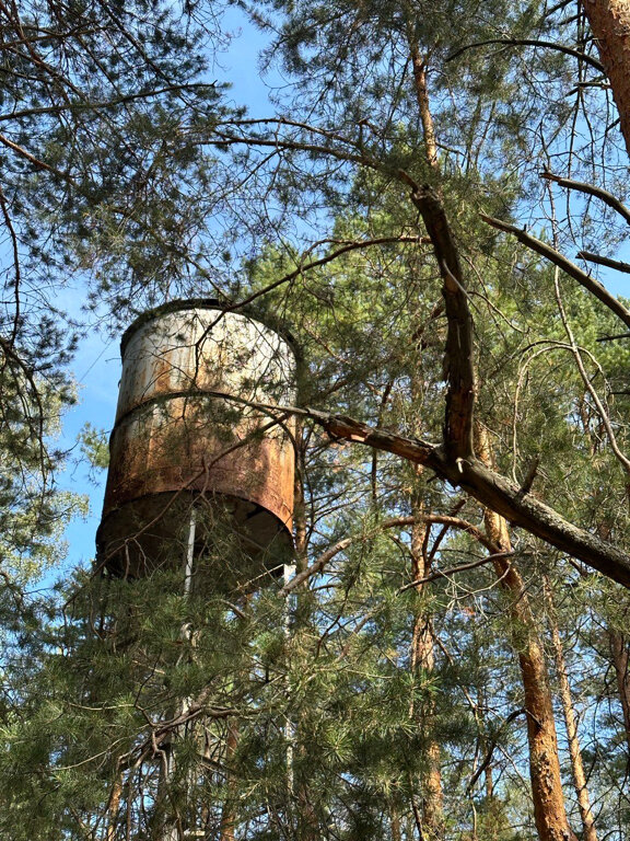 Фото Чик-чирик