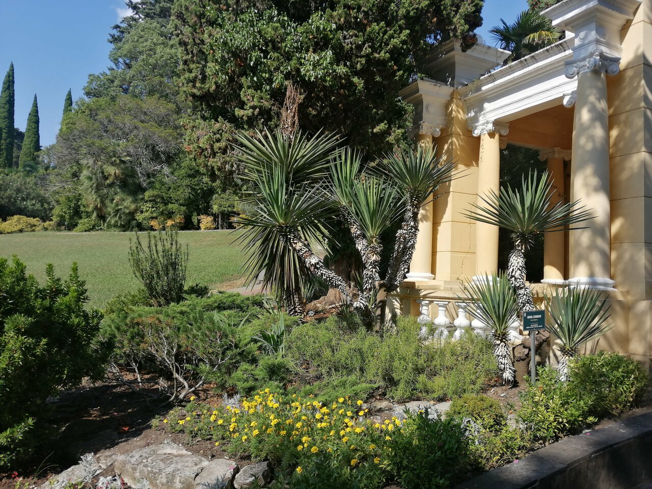 «Развлечения в виртуальной реальности в Сочи» фото материала