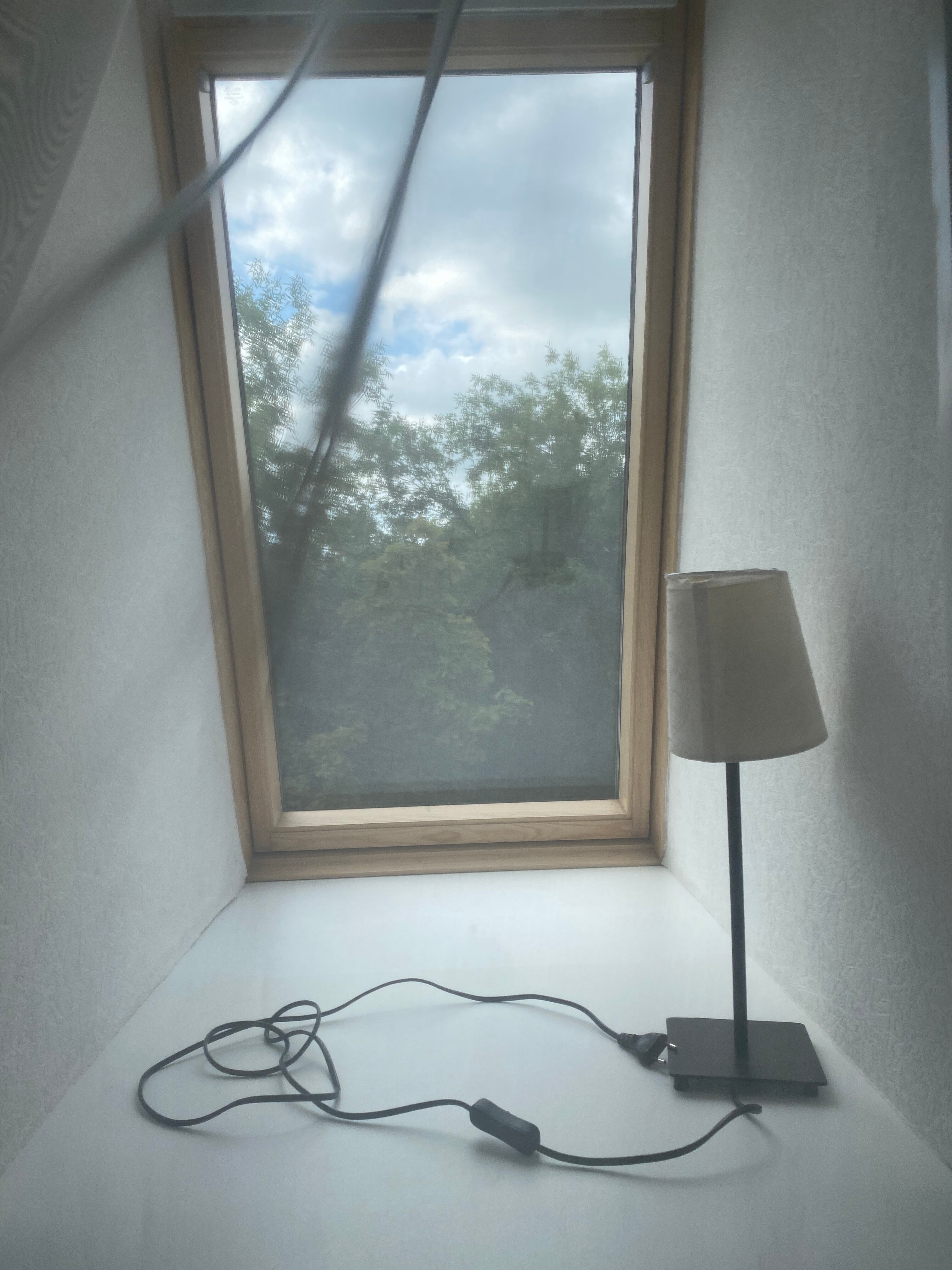 Фото Соловей