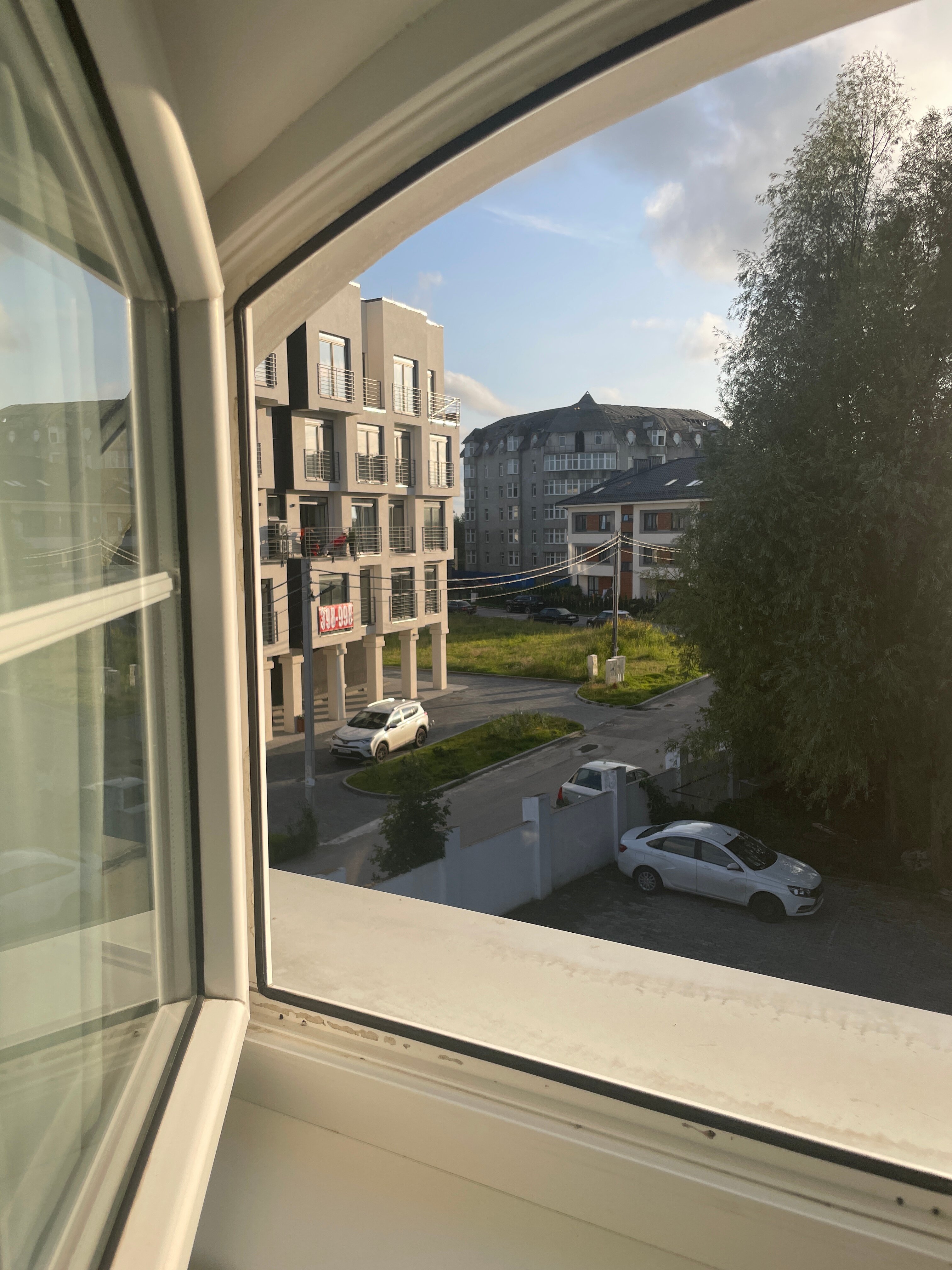 Фото Белый лотос