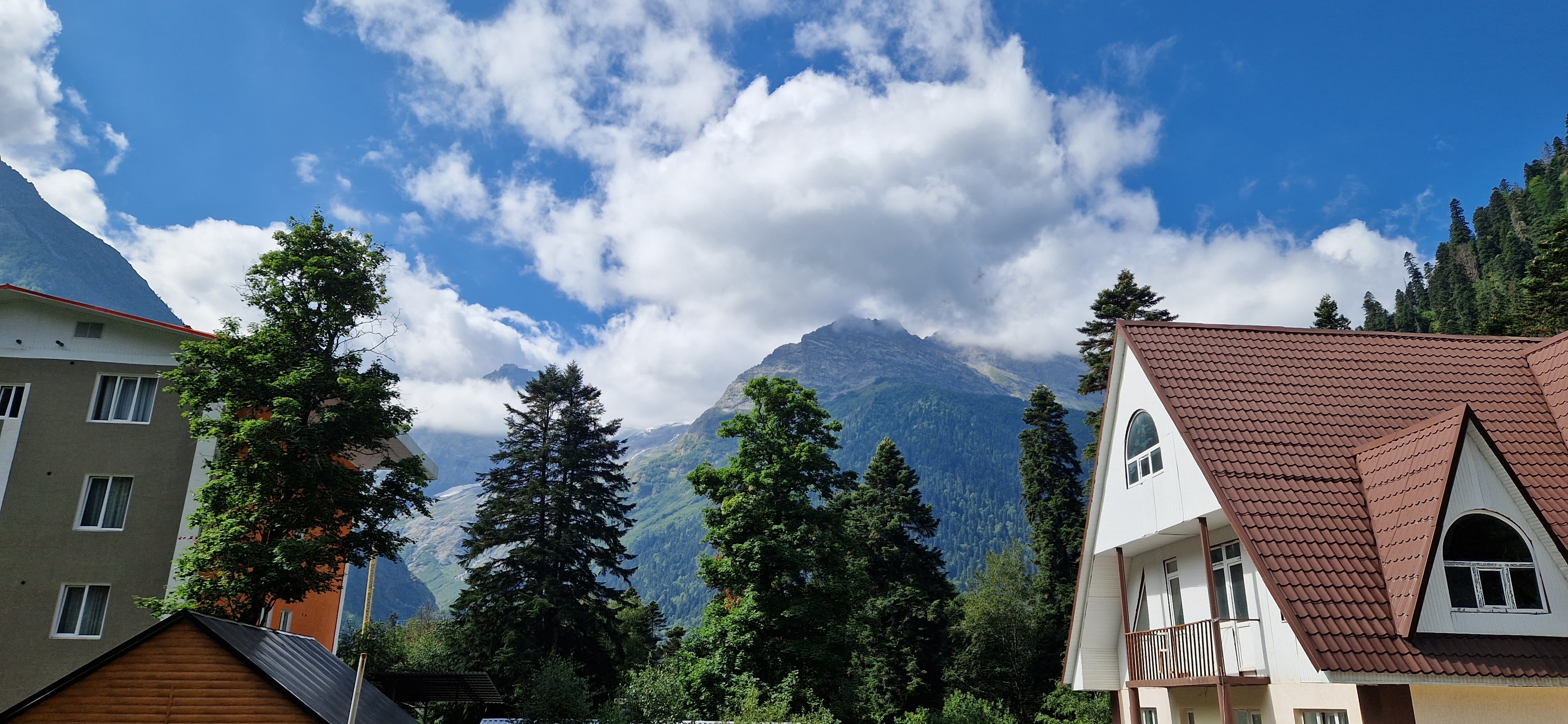 Фото Дубки Snow Point