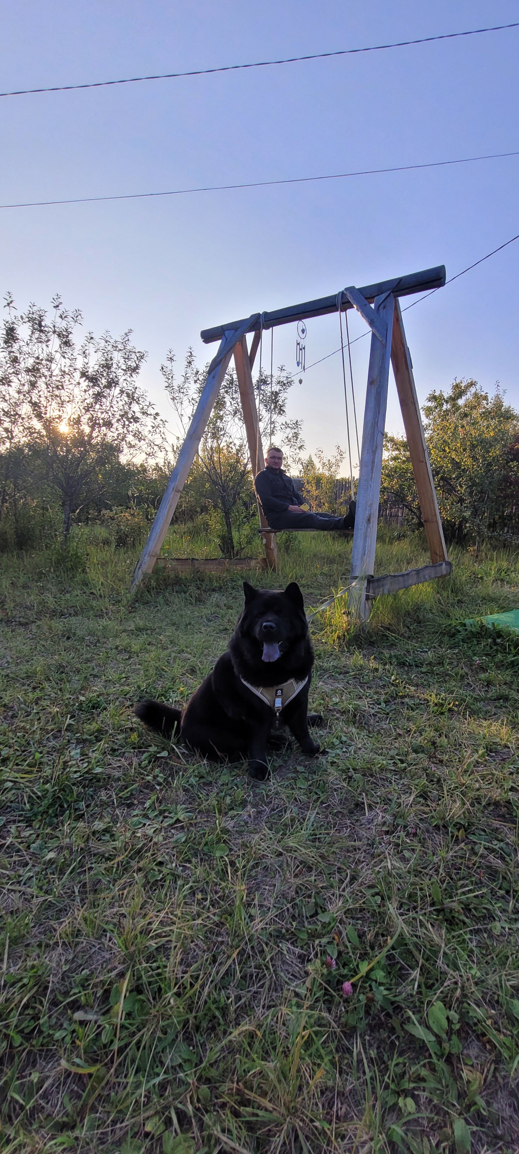 Фото Скандинавия