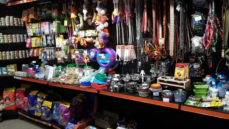 Pet shop Planeta Zoo, Tomsk, photo