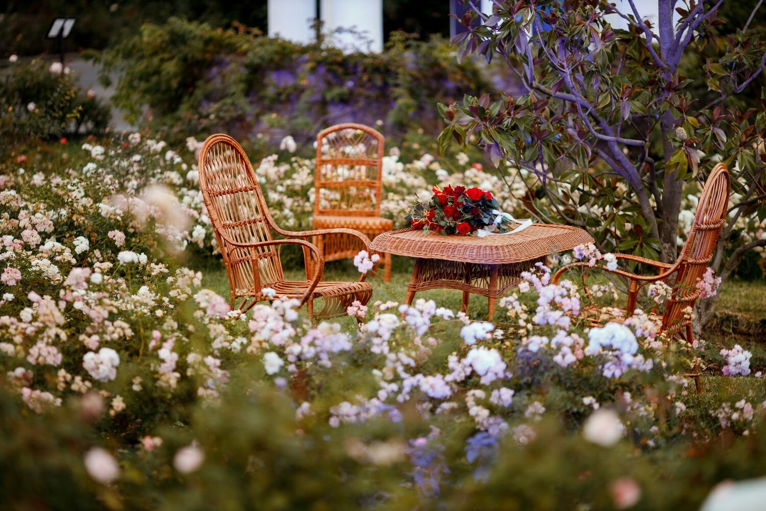 Фото Palmira Palace Resort & SPA