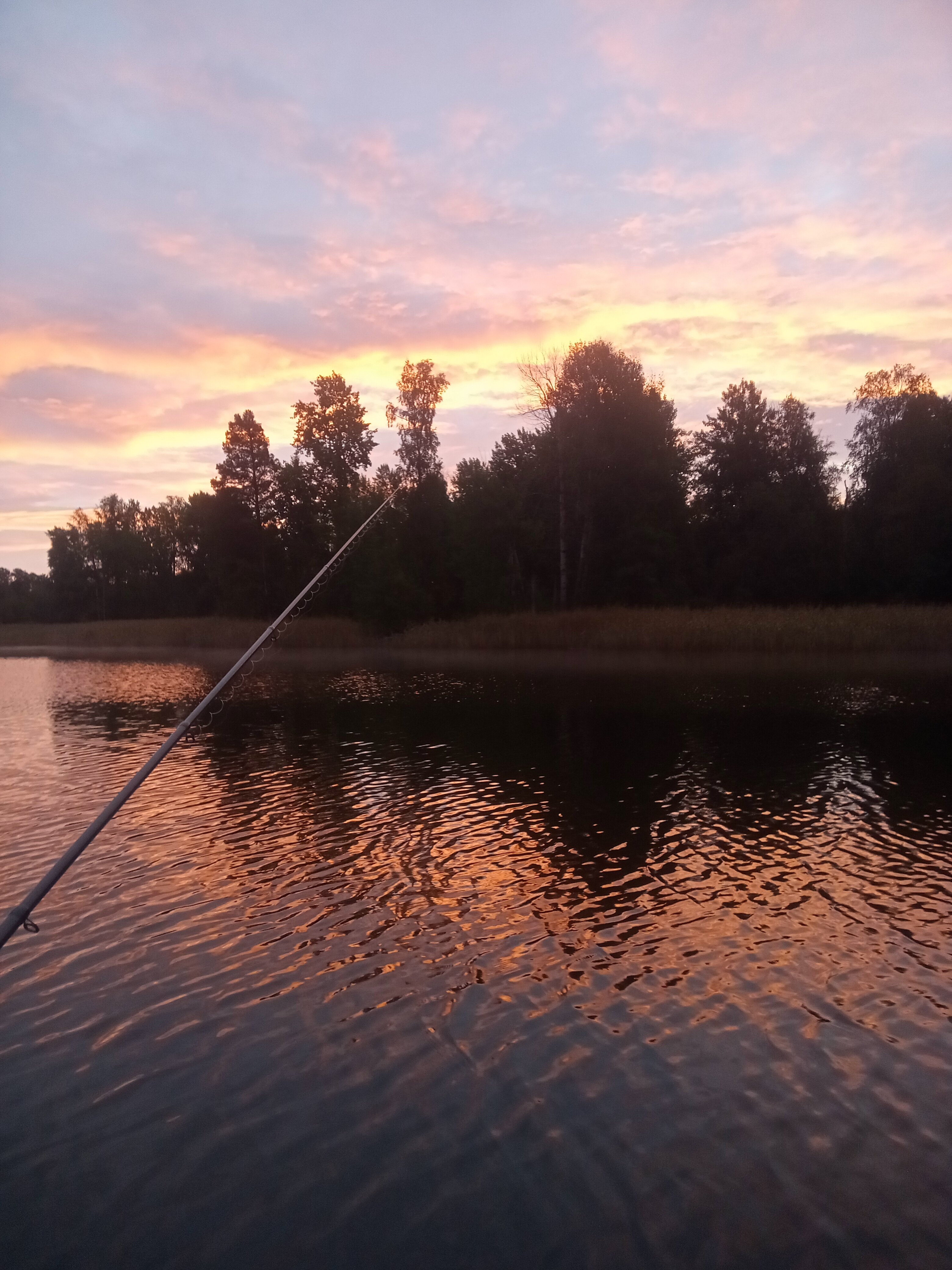 Фото Плотвичкина заводь