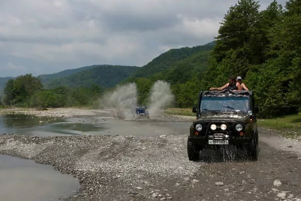 Фото Светлячок