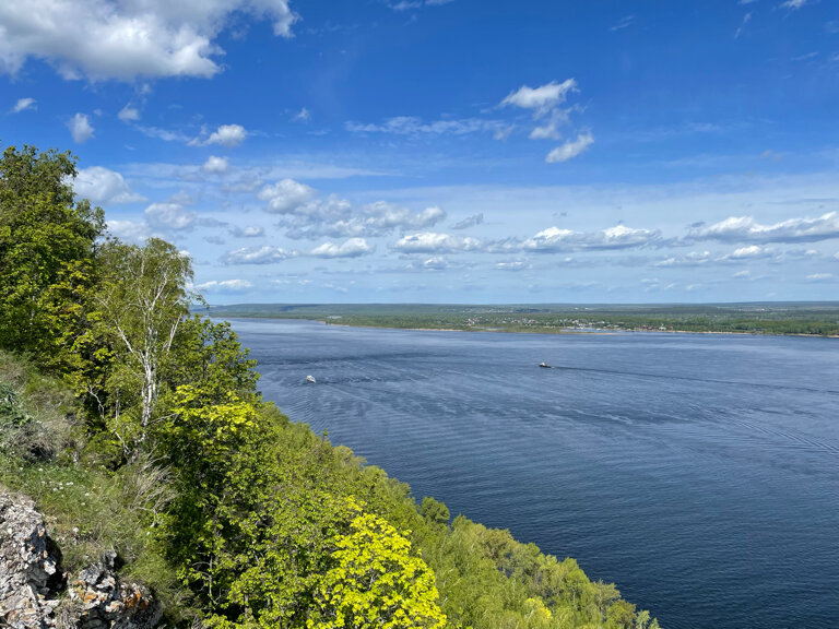 Фото Лисички-сестрички