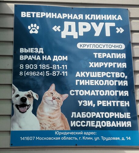 Разнообразие