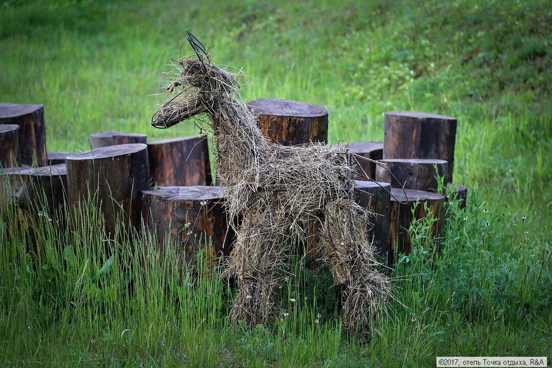 Фото Точка отдыха