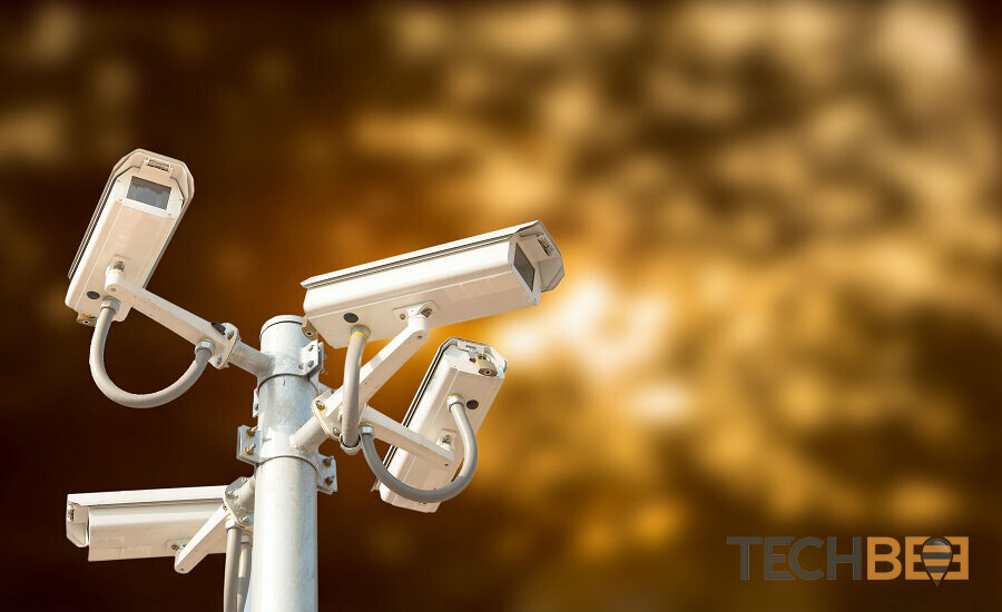 Software companies Techbee, Dubai, photo