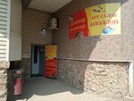 Appolon (Svetlanskaya Street, 56) ، الفن التشكيلي