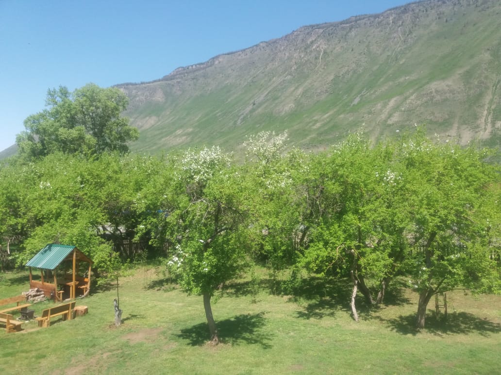 Фото У Александра