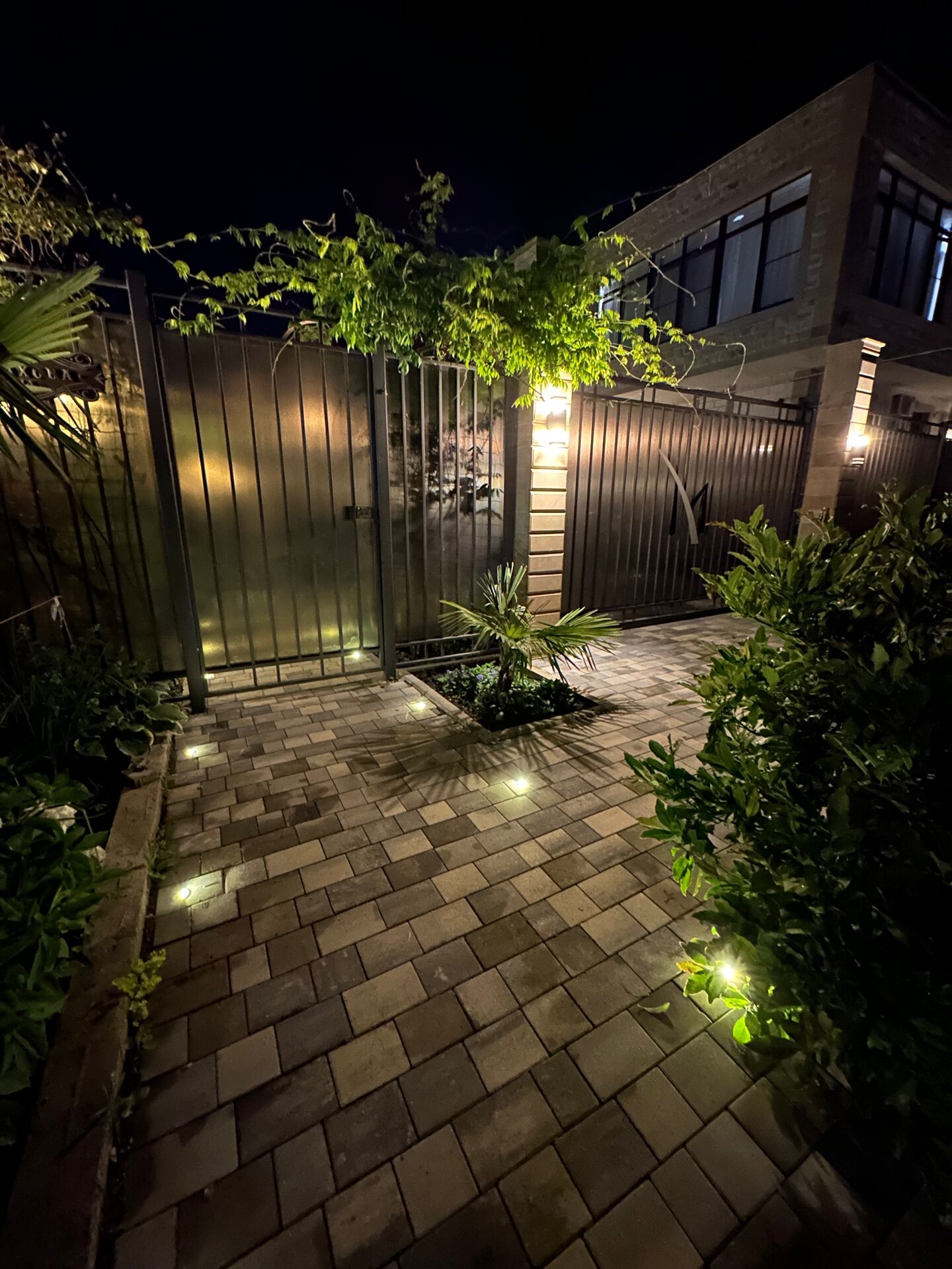 Фото Мавитель