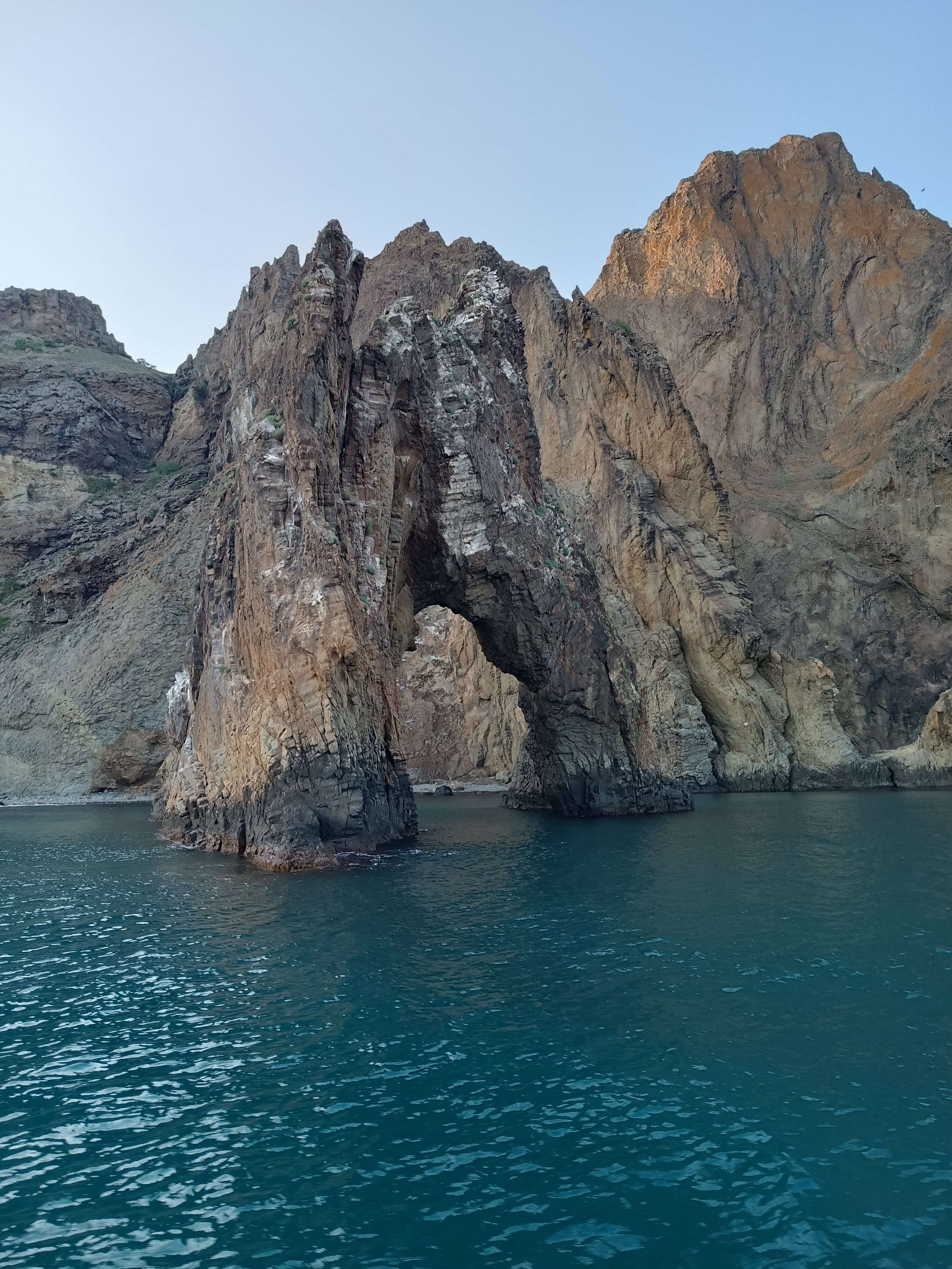 Фото Камелия-Кафа