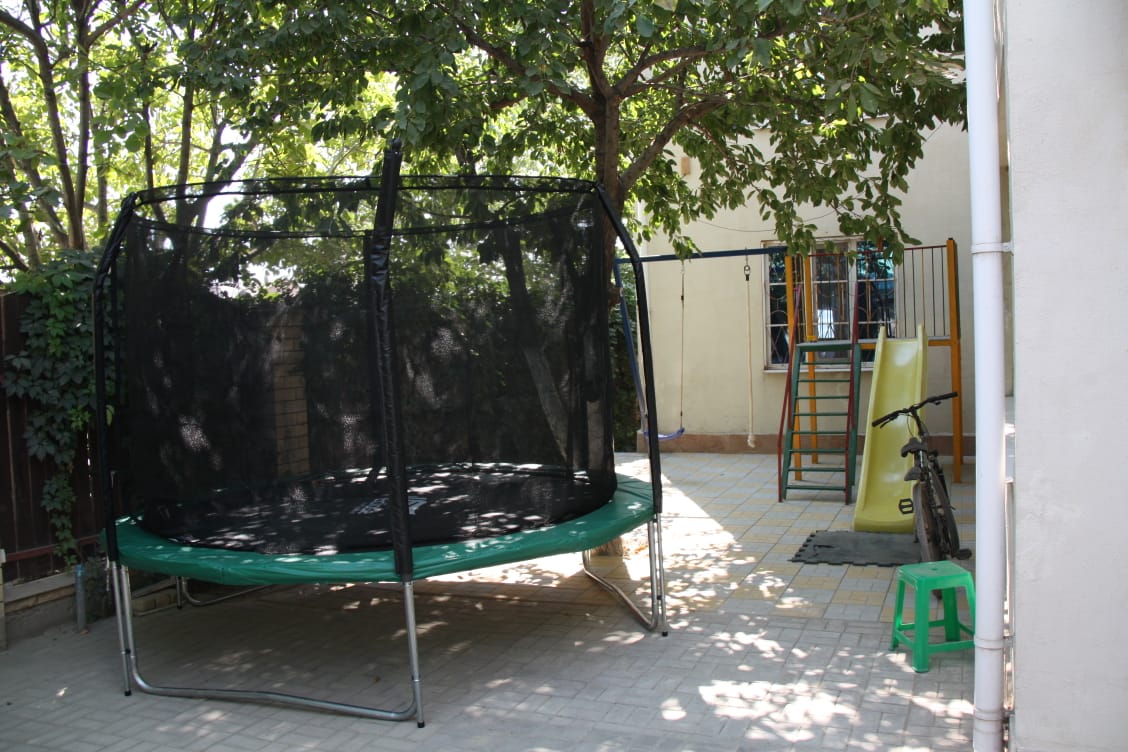 Фото Ромашка