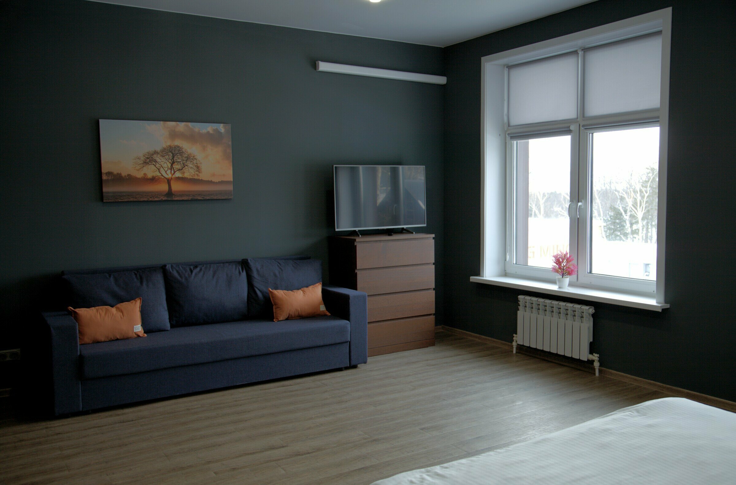 Фото Белый Снег