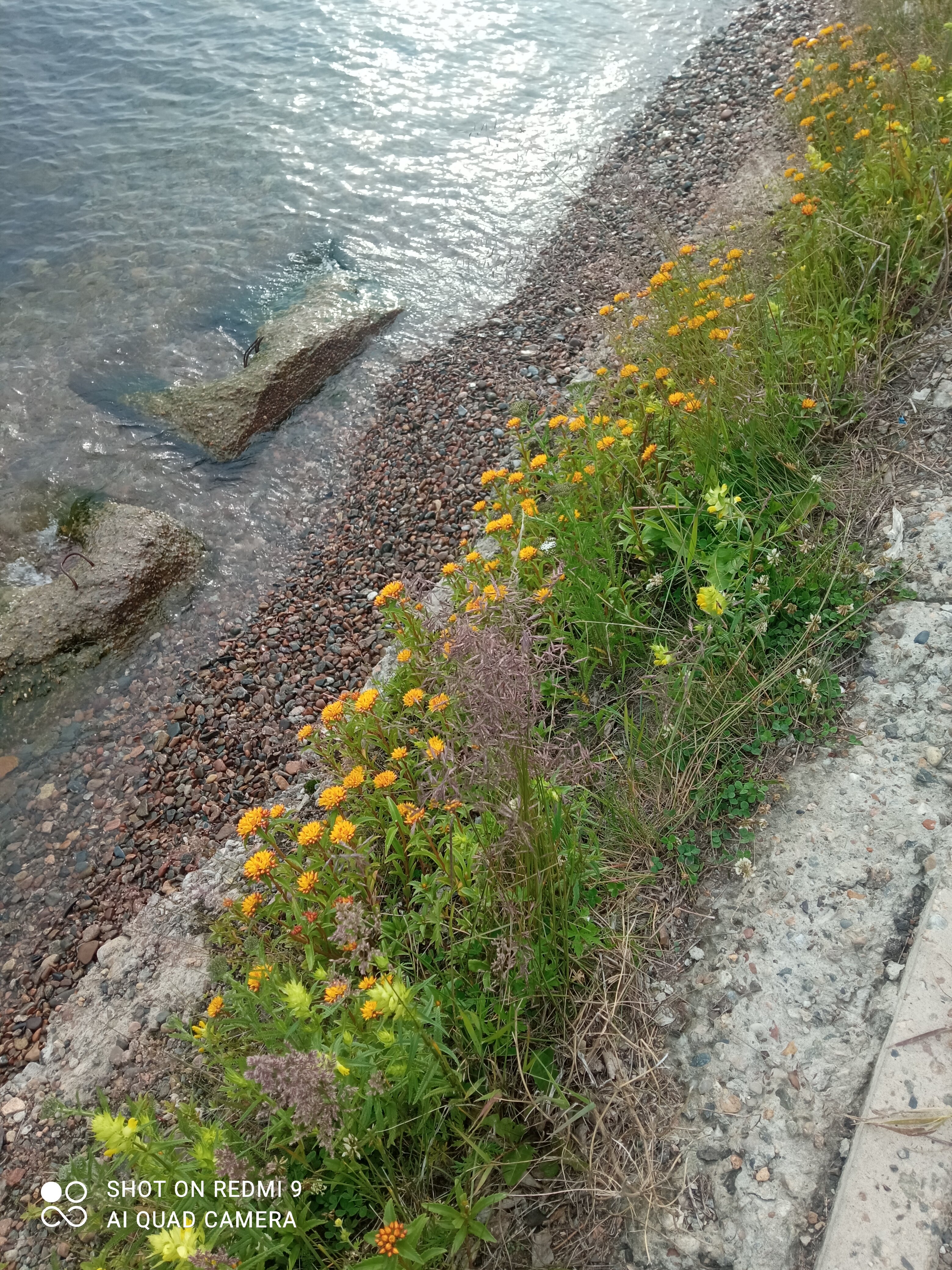 Фото Подлеморье