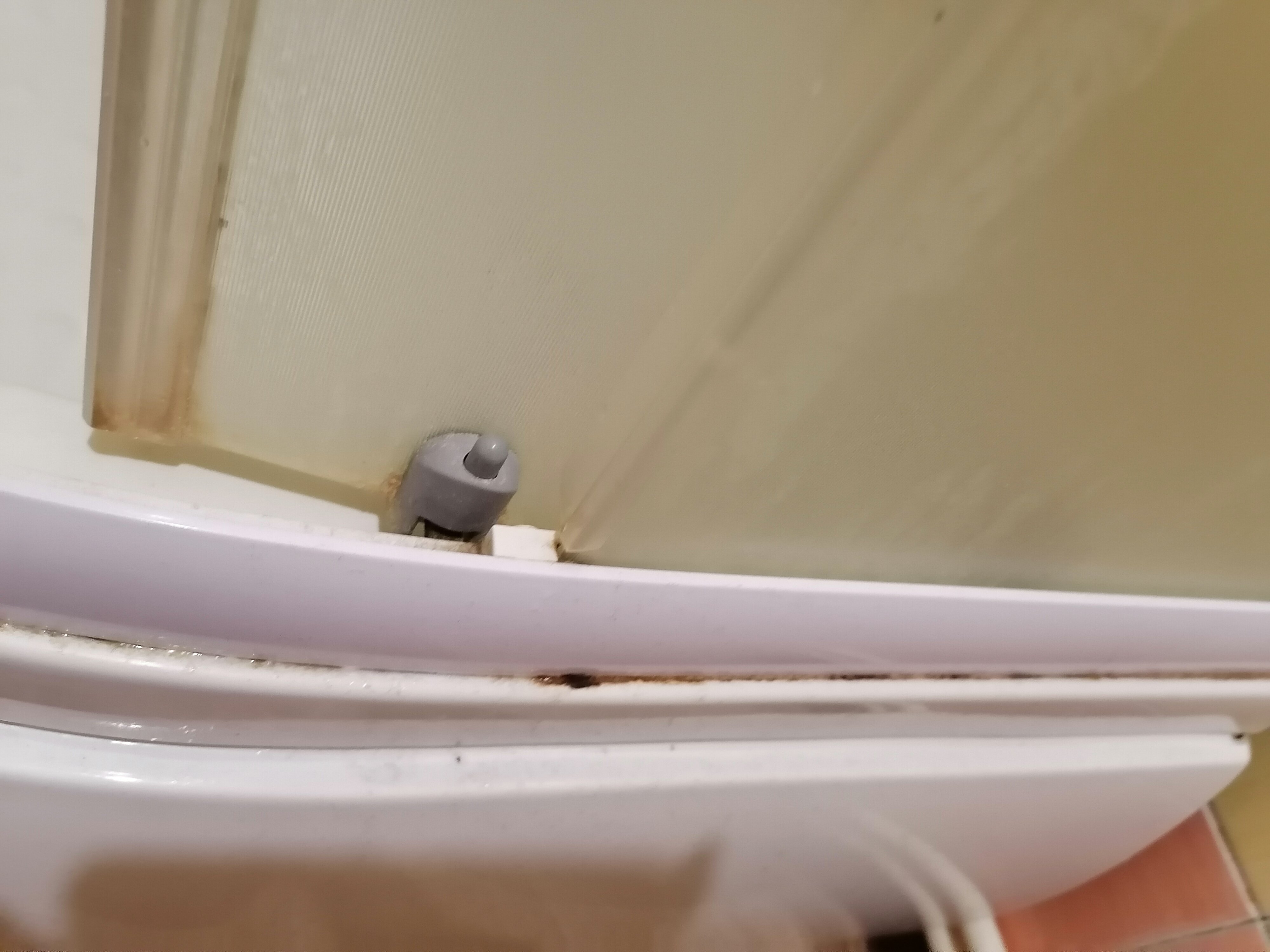 Фото Прибрежный