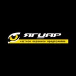 Yaguar (Chelyabinsk, 250 letiya Chelyabinsk Street, 34), security company
