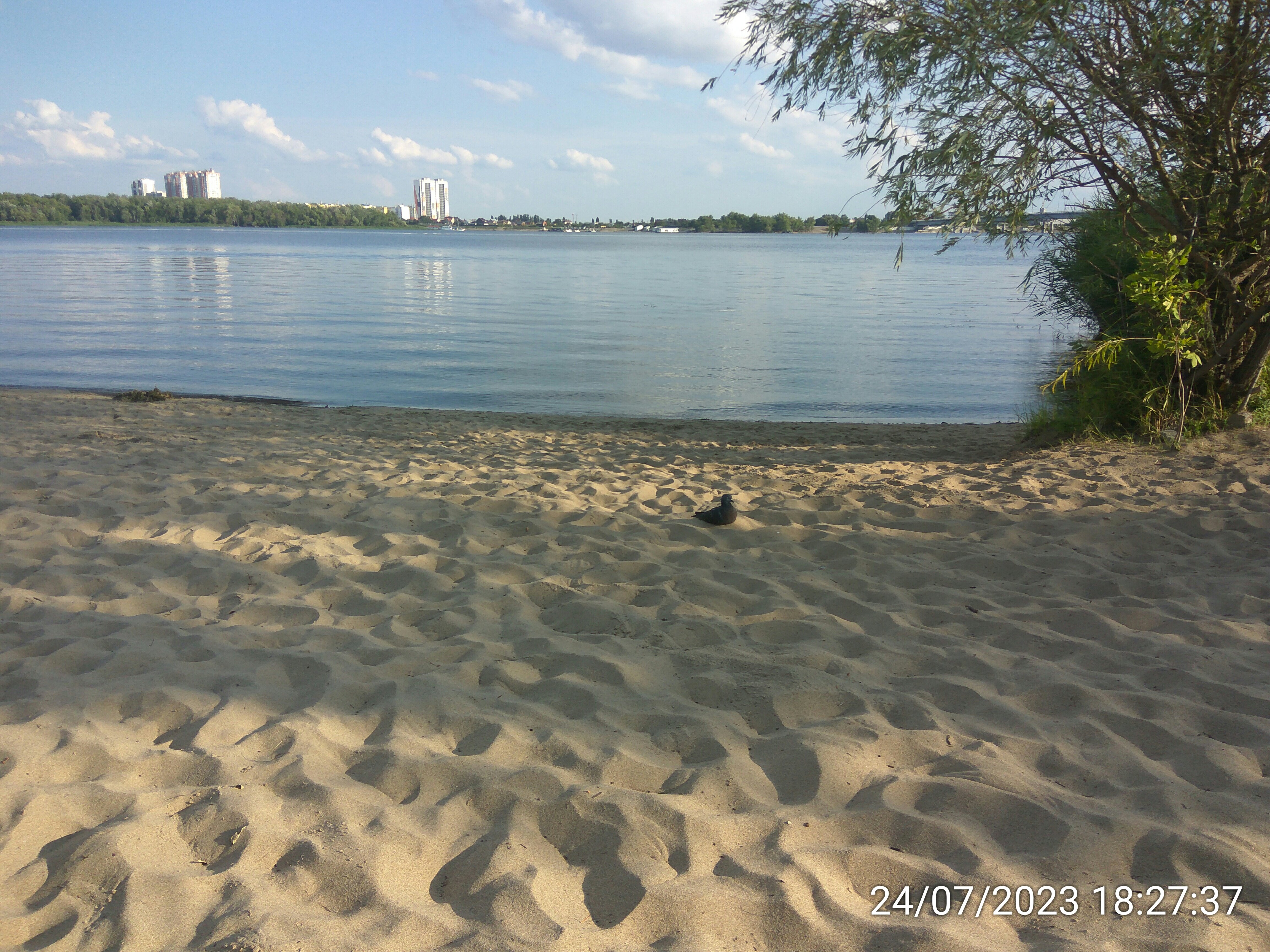 Cherkasy qizlar jinsiy chat