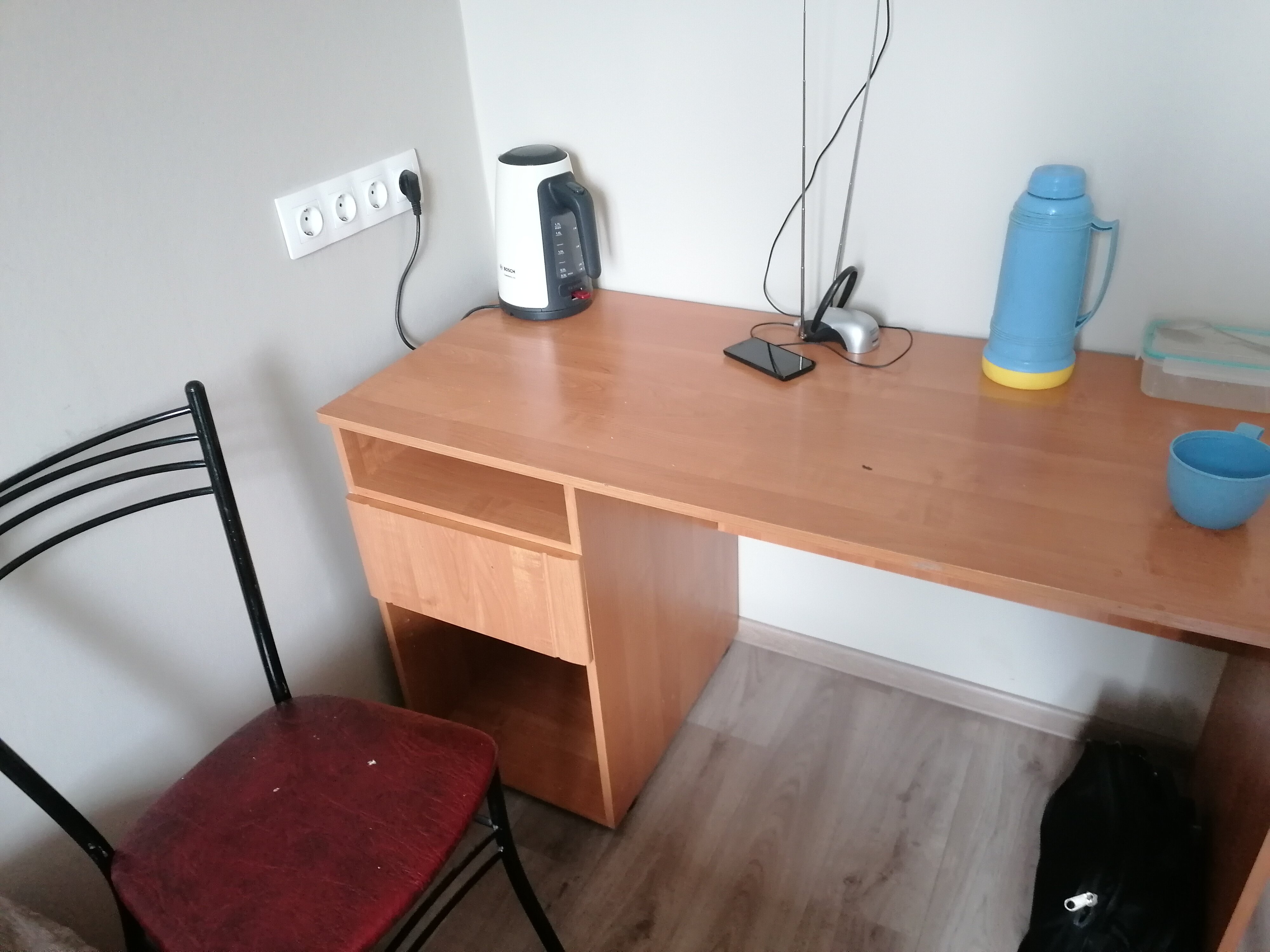 Фото Альбатрос