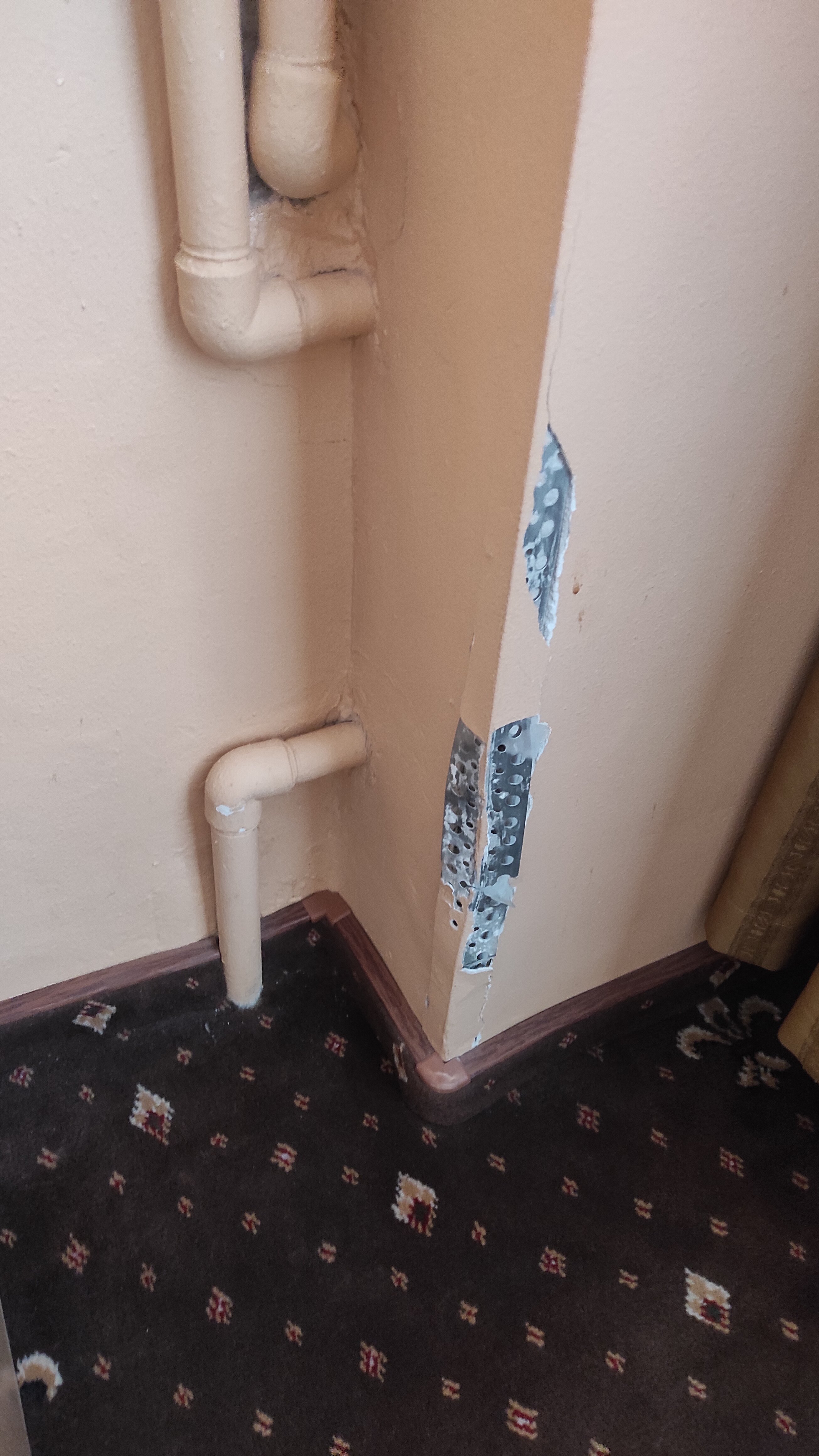 Фото Корела