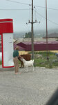 Кристалл (selo Arani, ulitsa Nabi Kurayeva, 47), gas station