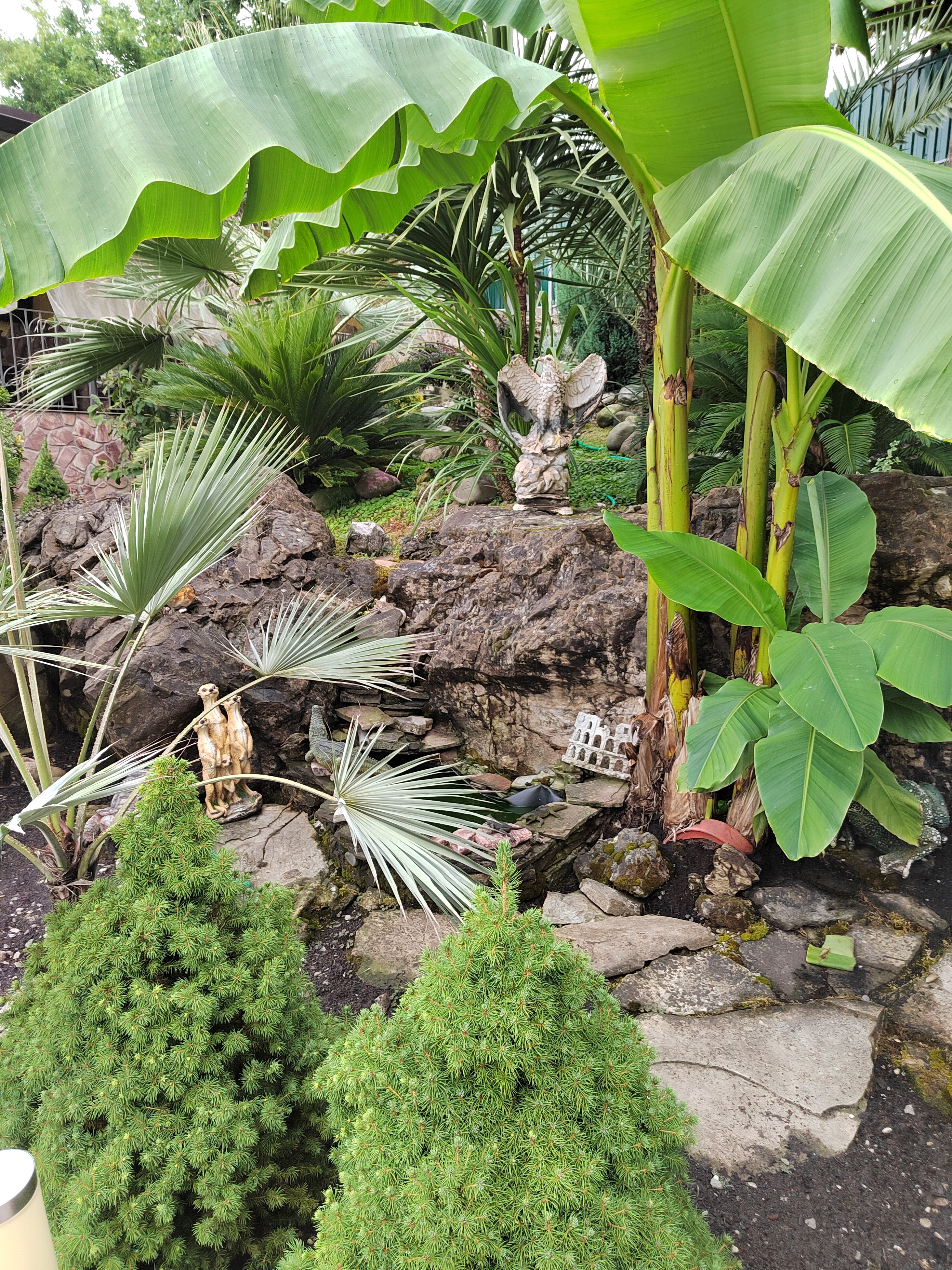 Фото Атлант