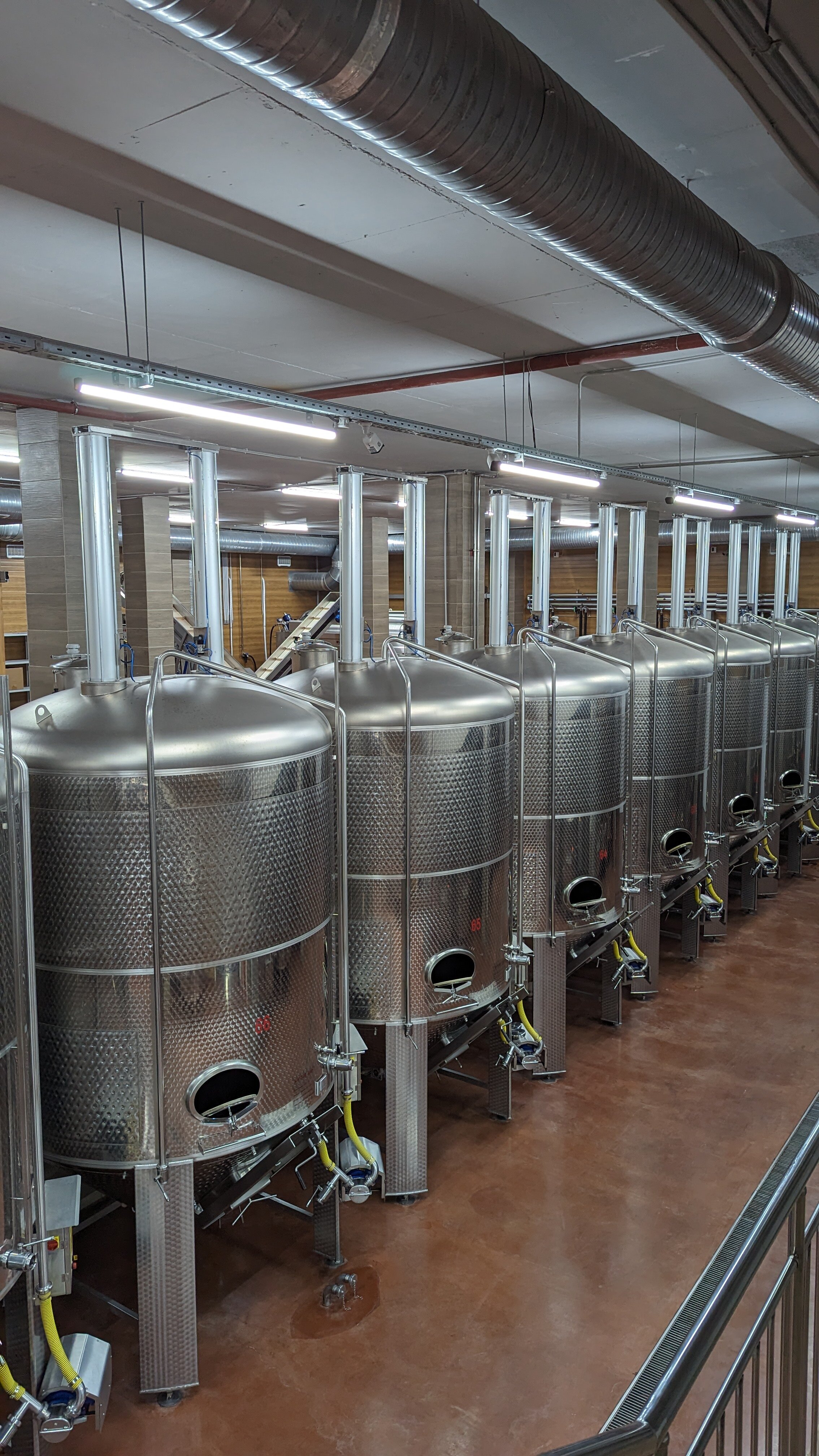 Фото Chateau Pinot Отель