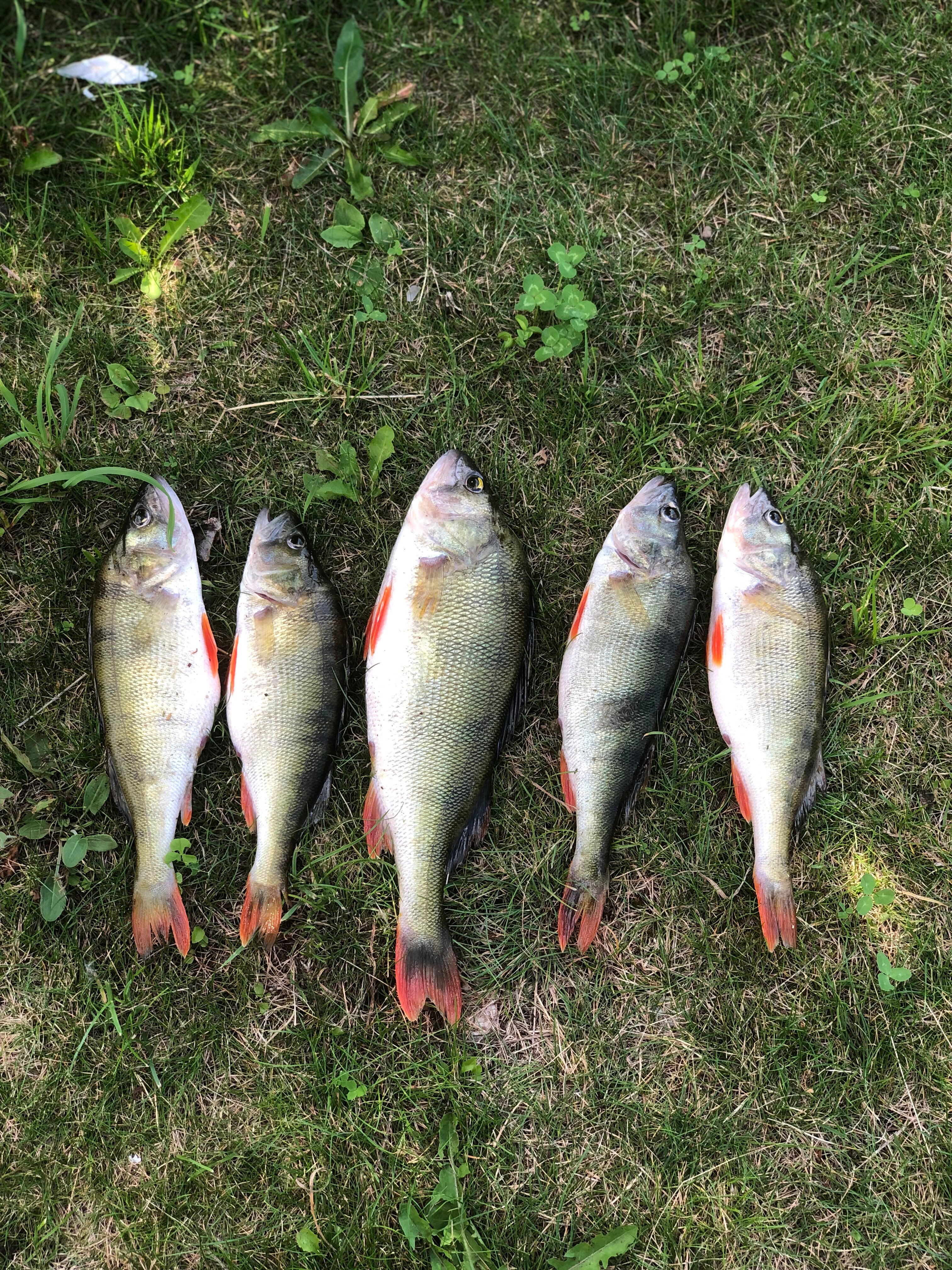 Фото Экоферма Старый Сиг