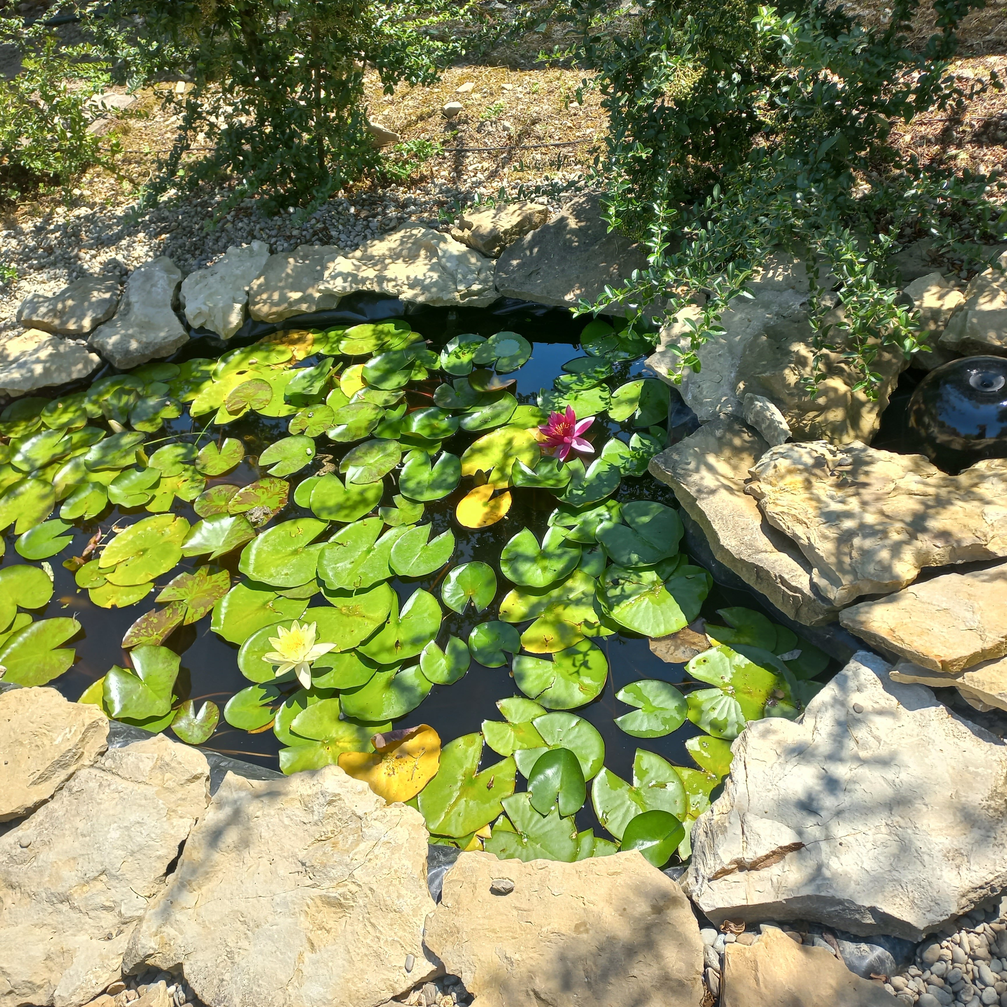 Фото Надежда