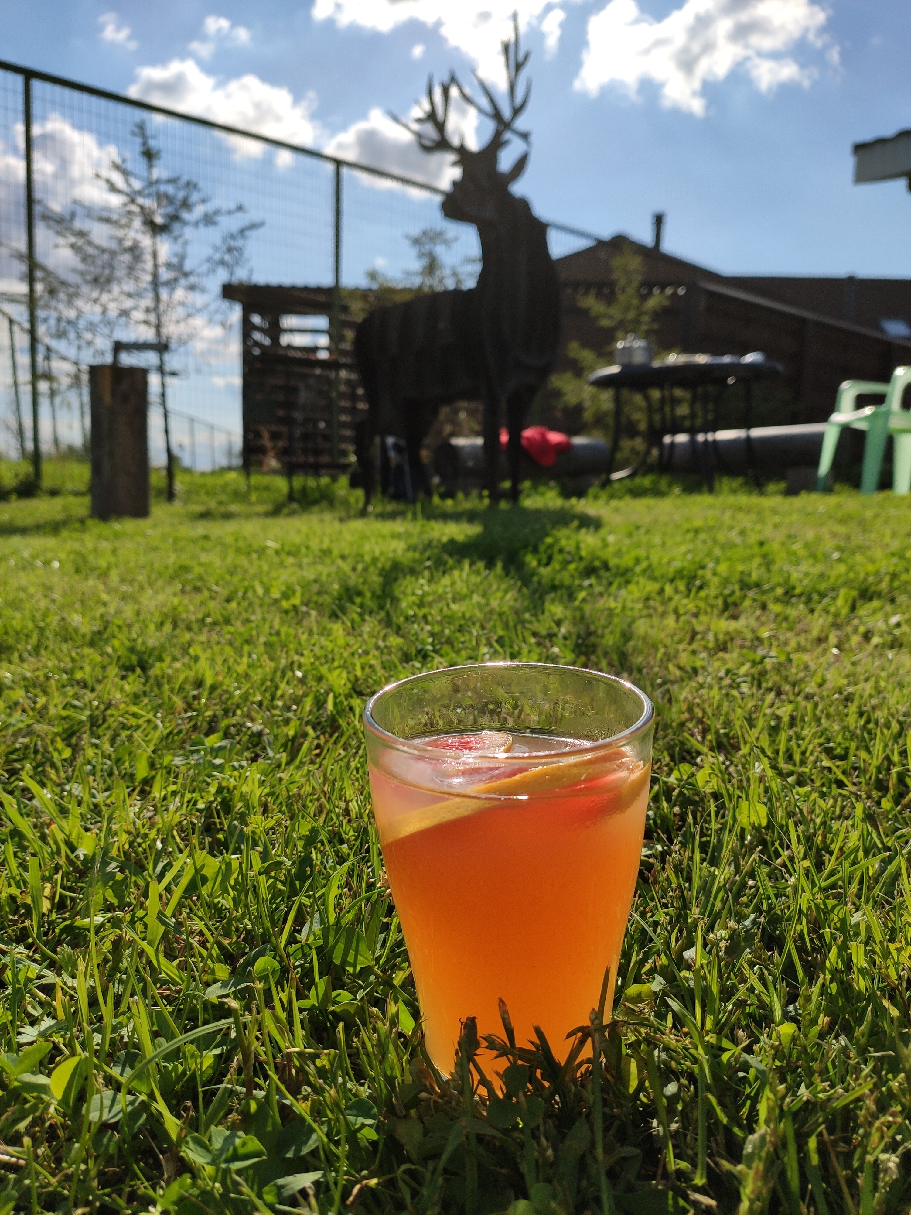 Фото Вилла Форца