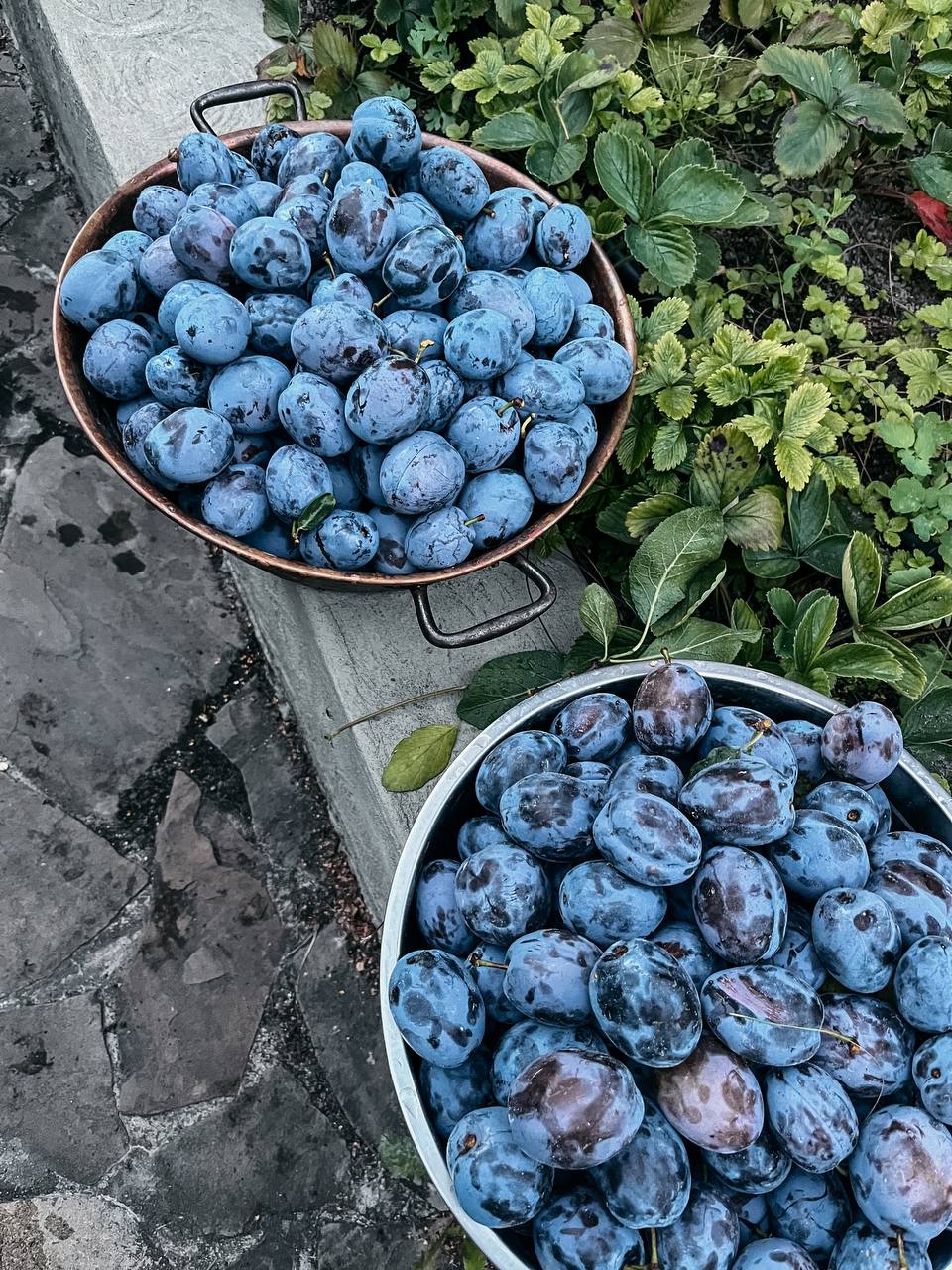 Фото Villa Boutique