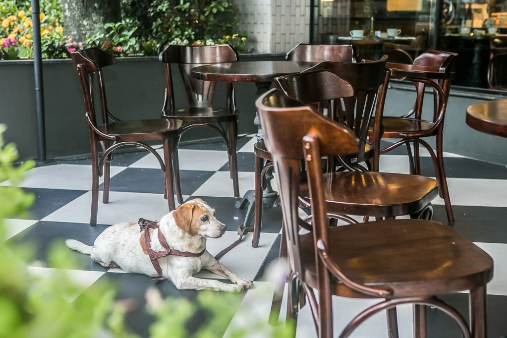 Фото Blue Tree Premium Florianopolis