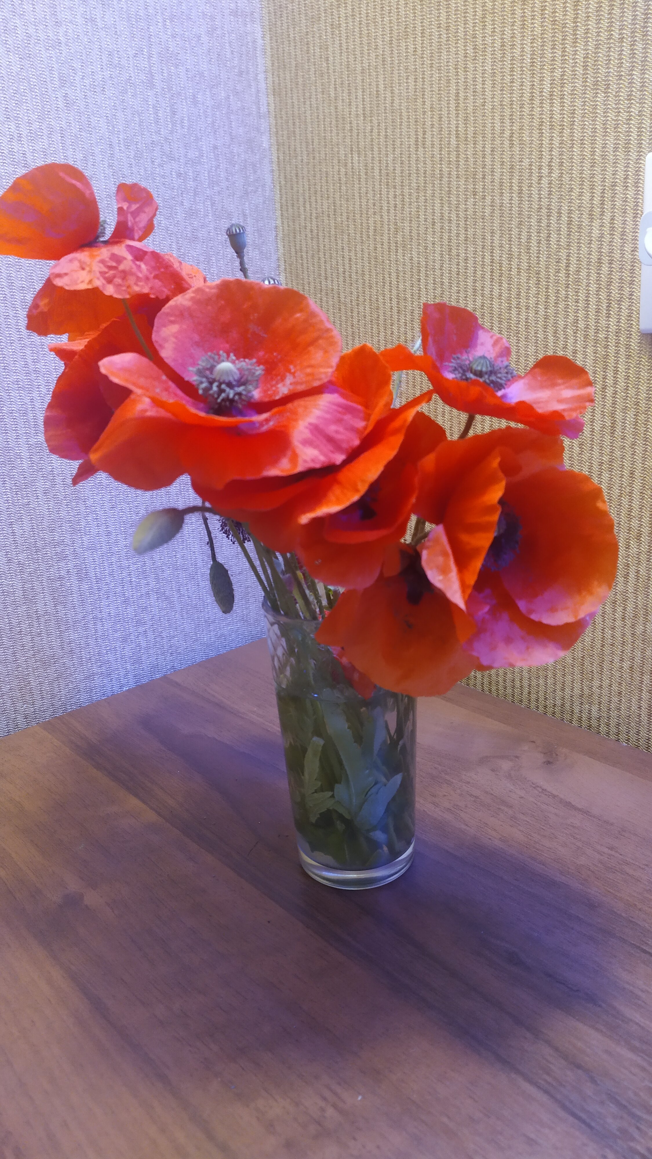 Фото White House