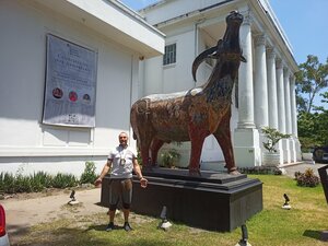 Museum Negros Museum, Bacolod, photo