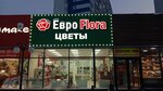 EuroFlora (ulitsa Odoyevskogo, 1/8А), flower shop