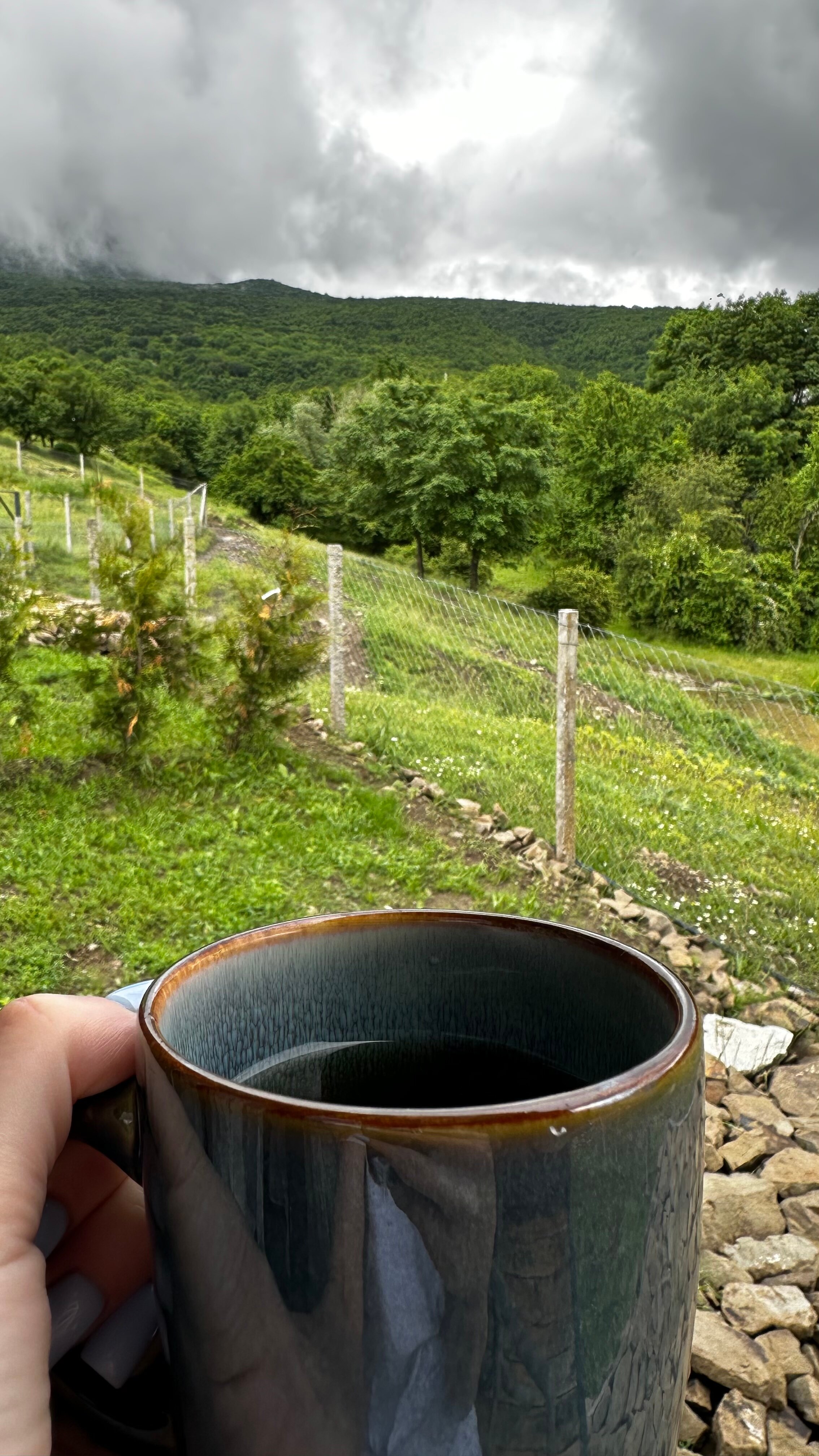 Фото Едем в горы