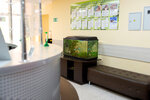 New-Medica (ulitsa Romanenko, 50), medical center, clinic
