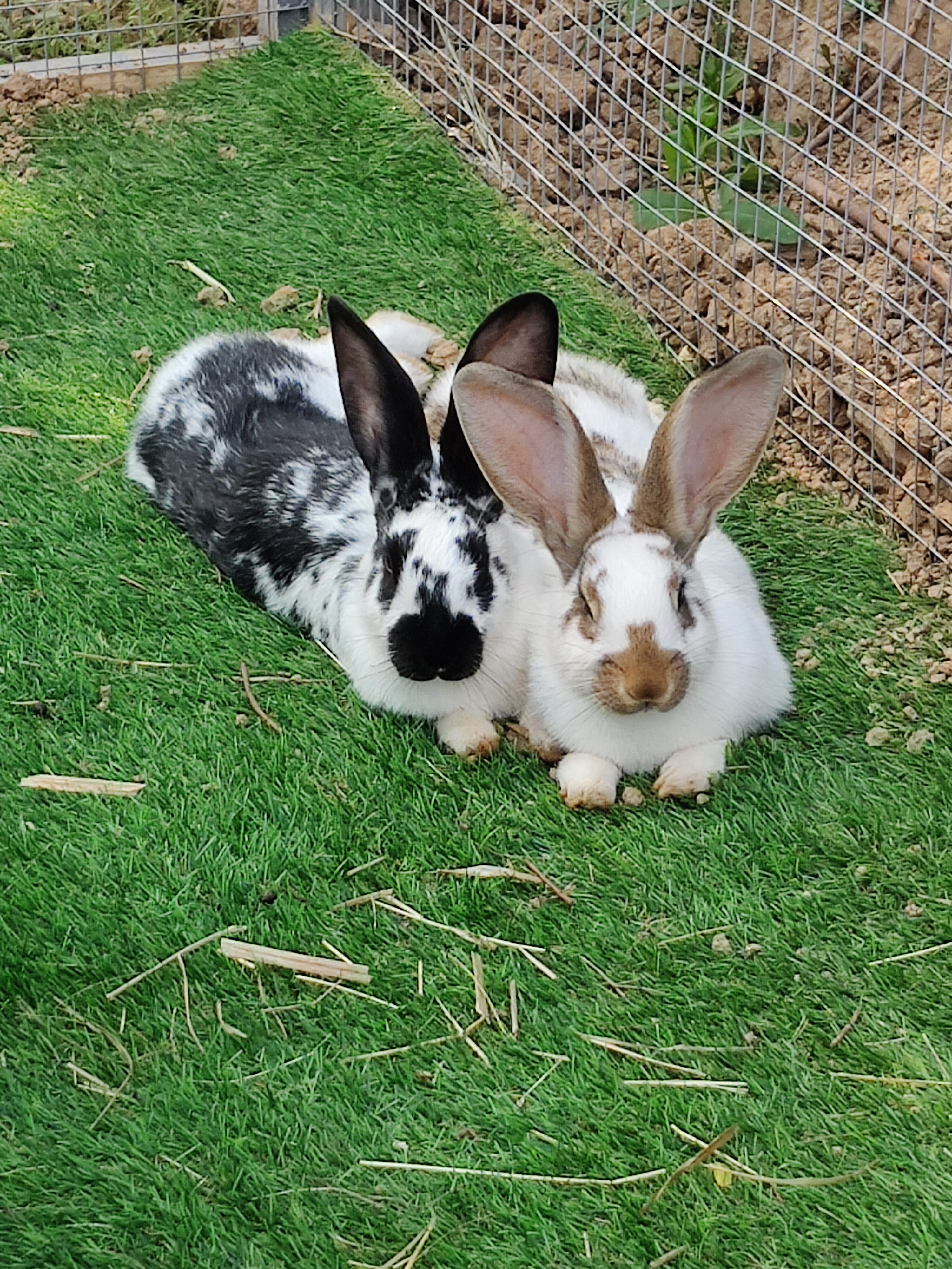 Фото Рядом Даль