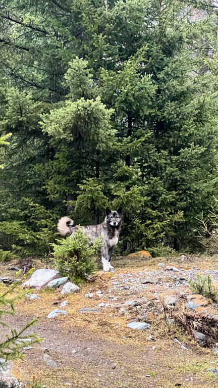 Фото Green House04