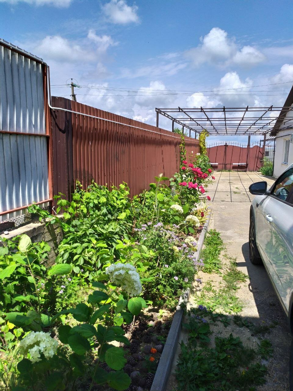 Фото В гостях у сказки