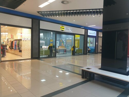 Ұзын әтеш бейнелері бар траннилер