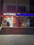 Automag (Sergeli District, Sergeli-VIIIa dahasi, 12), auto parts and auto goods store