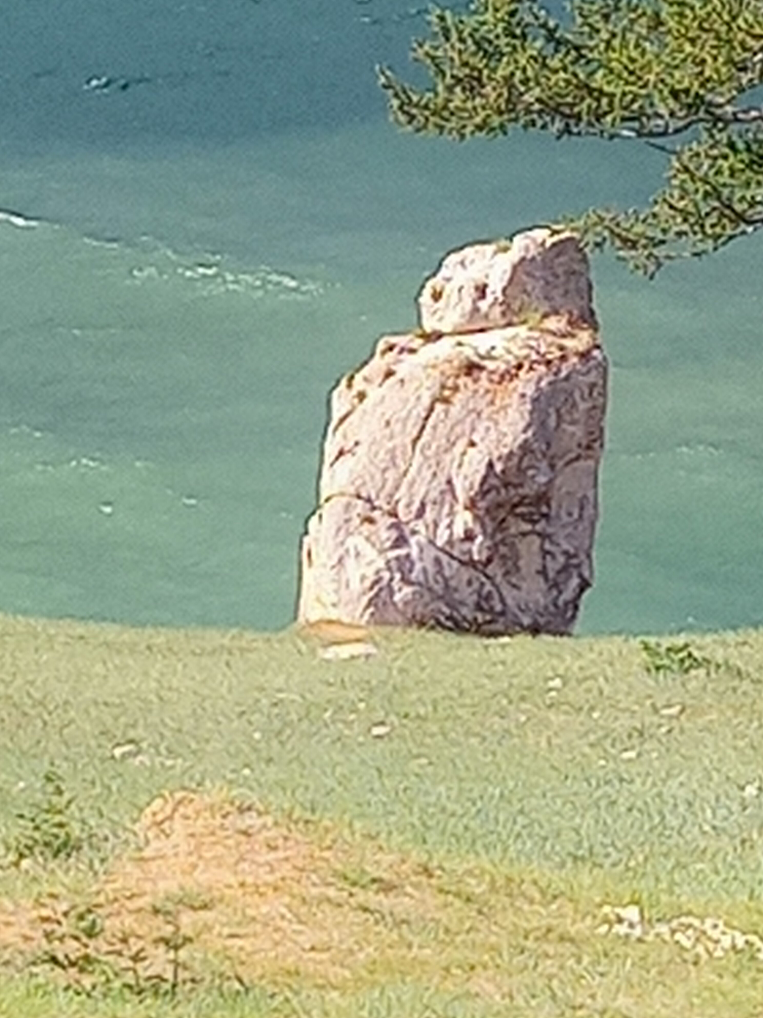 Фото СаМиТа