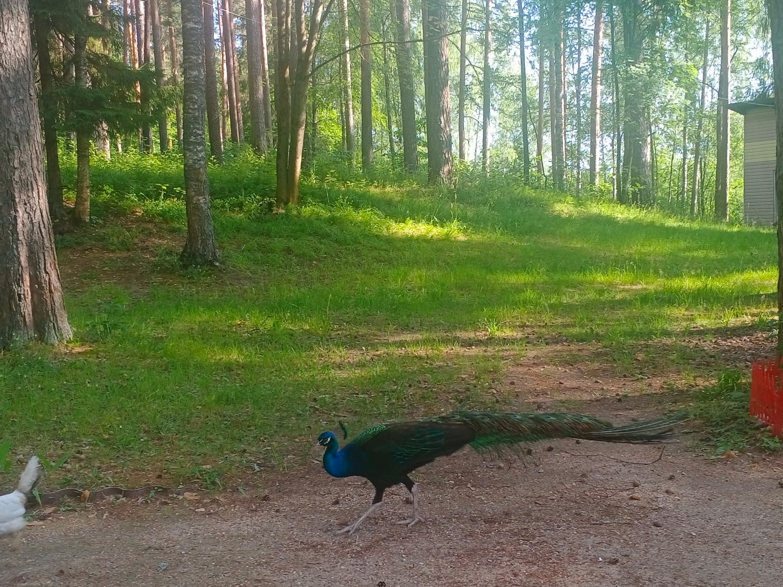 Фото Эко Парк