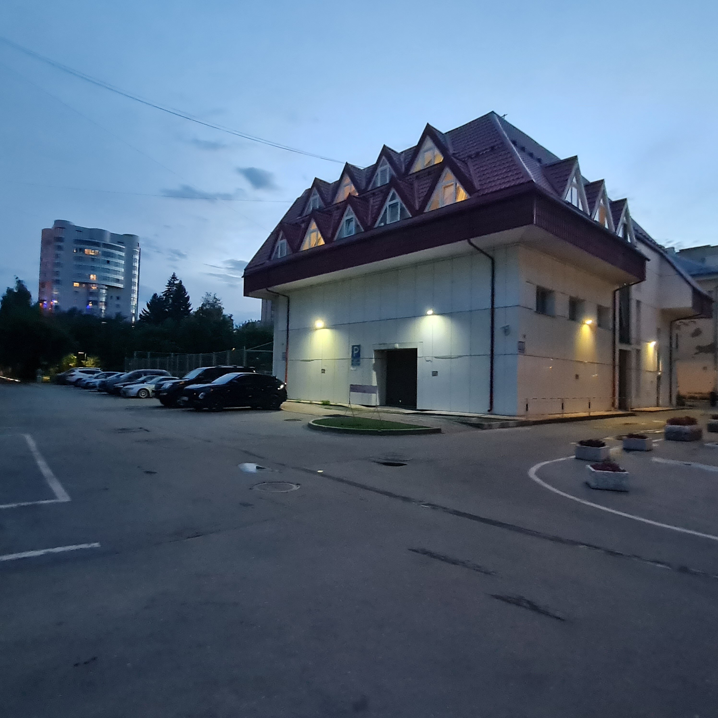 Фото Колибри